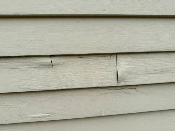 Best Storm Damage Siding Repair  in Warren, PA